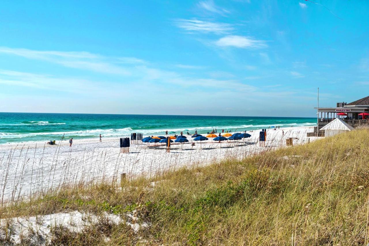 Ariel Dunes II 2006 Destin Luaran gambar